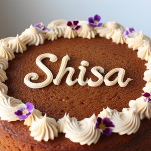 shisa-birthday-cake